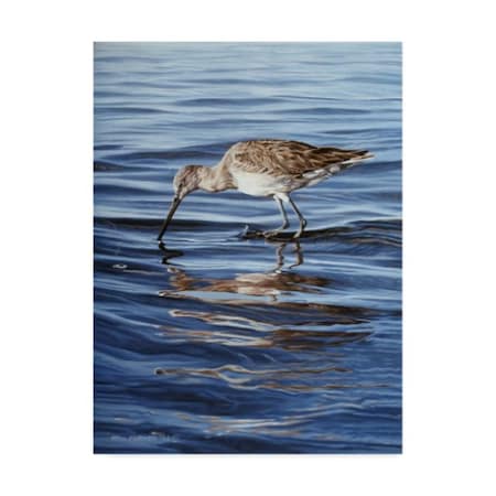 Ron Parker 'Willet' Canvas Art,18x24